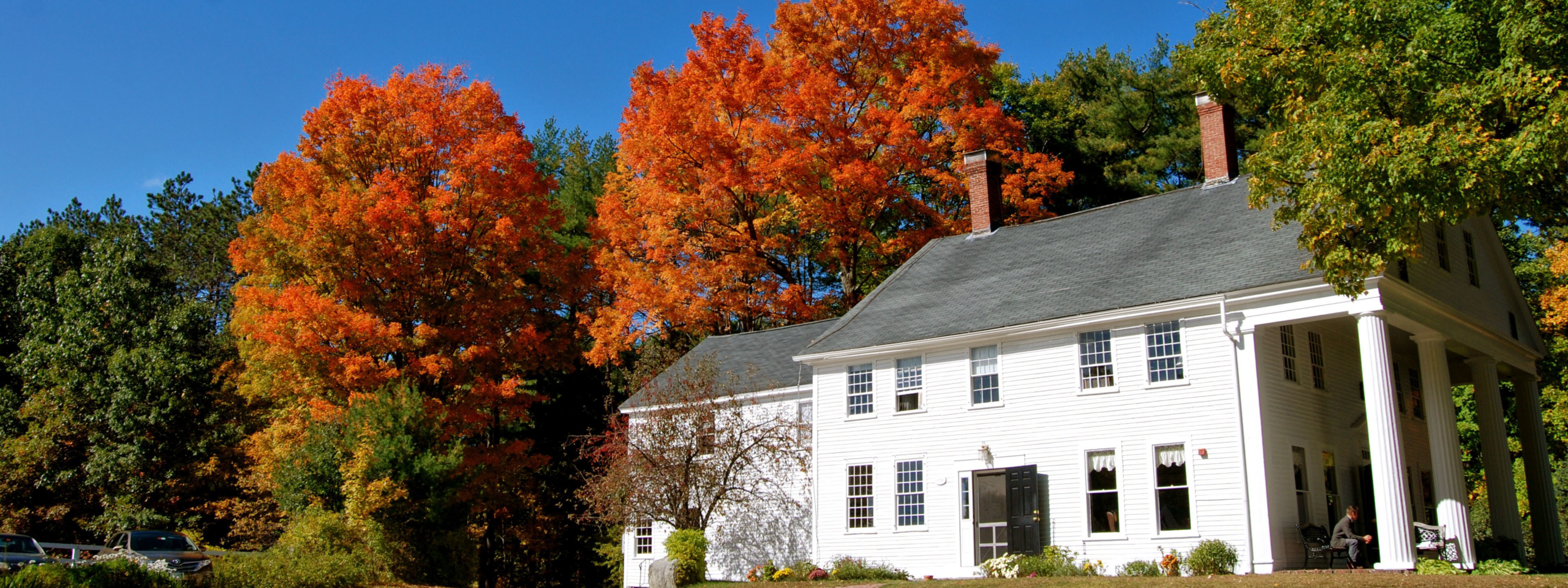 Thomas More thumbnail